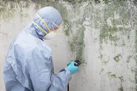 Best Mold Odor Removal Services  in Pace, FL